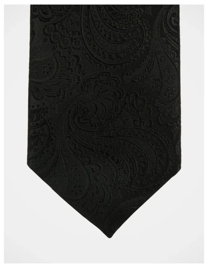 Blaq Paisley Tie in Black