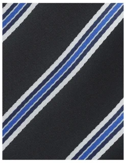 Blaq Stripe Tie in Navy/White