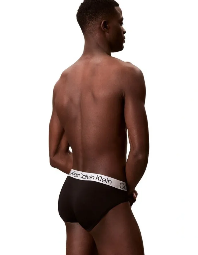 Calvin Klein Chromatic Briefs 3 Pack in Multi