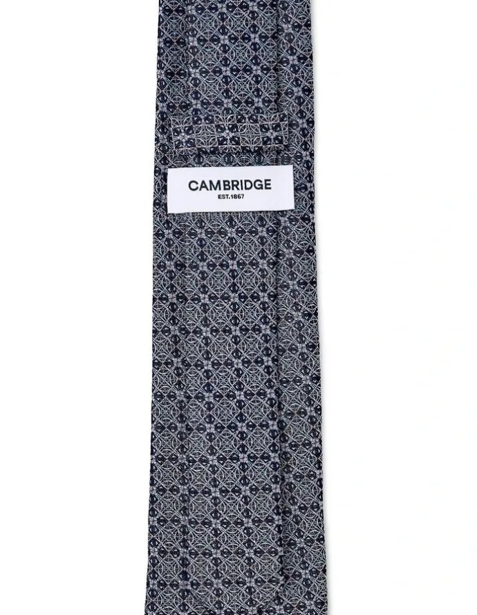 Cambridge Astrolabe Silk Tie In Pink