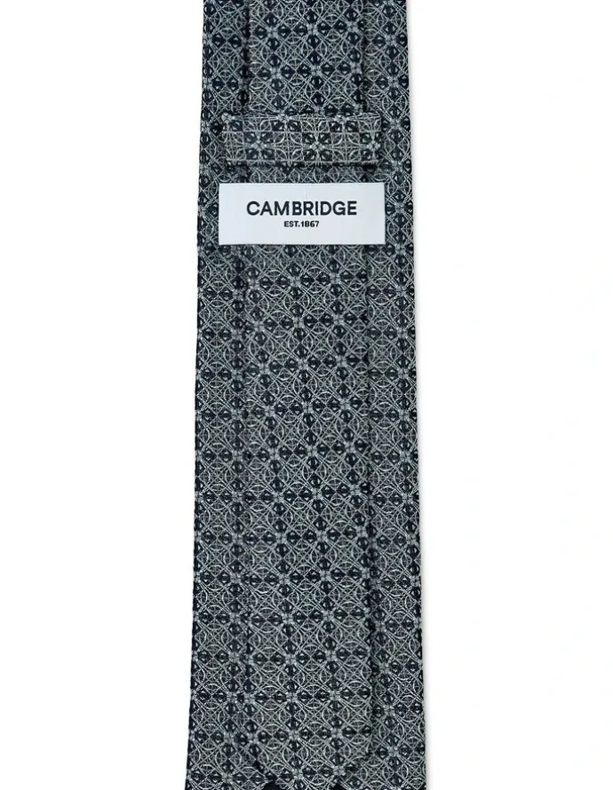 Cambridge Astrolabe Silk Tie In Teal