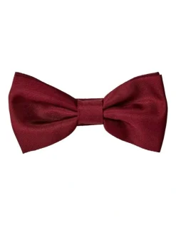 Cambridge Formal Silk Bowtie in Bordeaux