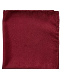 Cambridge Formal Silk Pocket Square in Burgandy