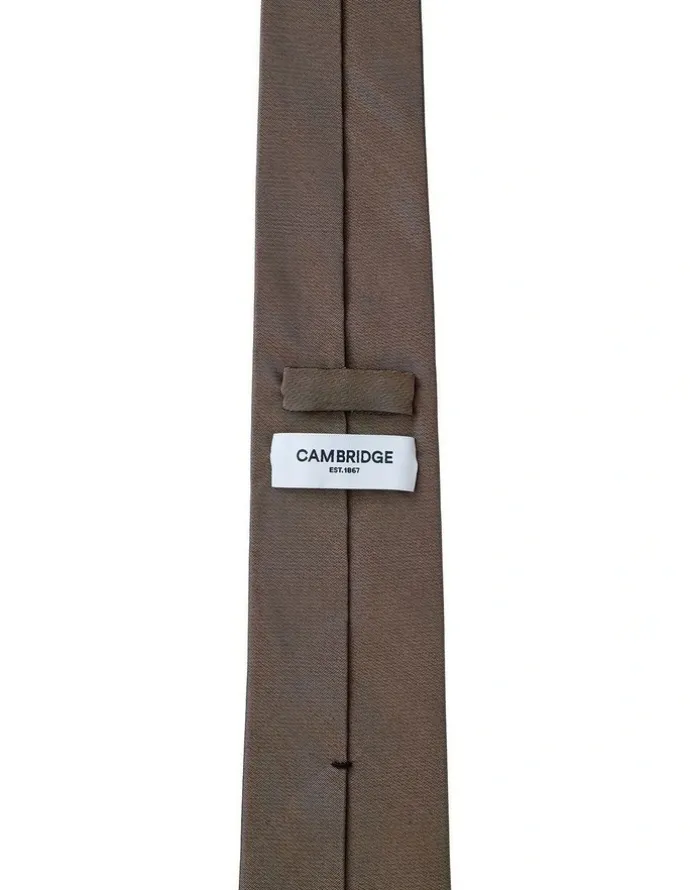 Cambridge Formal Silk Tie in Bronze