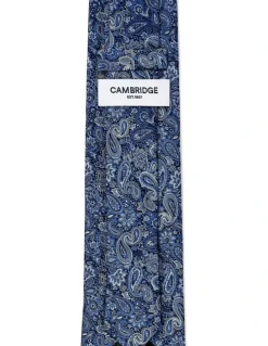 Cambridge Tonal Paisley Silk Tie In Blue