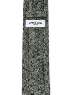 Cambridge Tonal Paisley Silk Tie In Olive