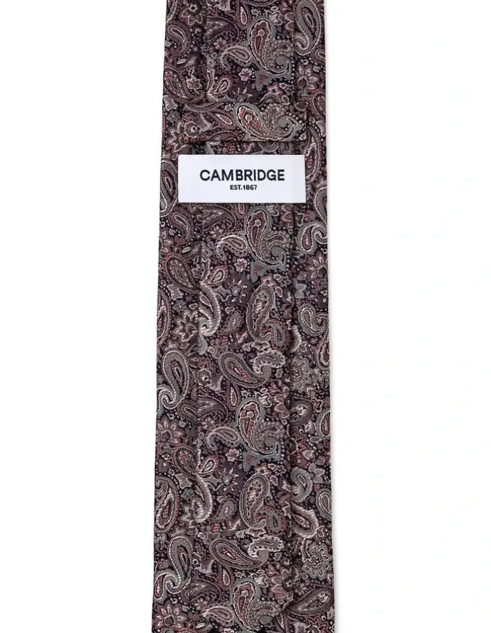 Cambridge Tonal Paisley Silk Tie In Mauve
