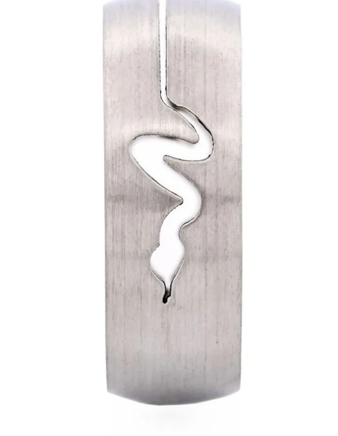 Cudworth Brushed Stainless Steel Ring with Cutout Serpent Pattern in Silver