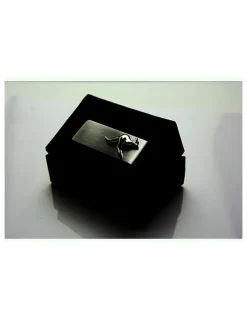 Cudworth Brushed Stainless Steel and Kangaroo Money Clip in Silver
