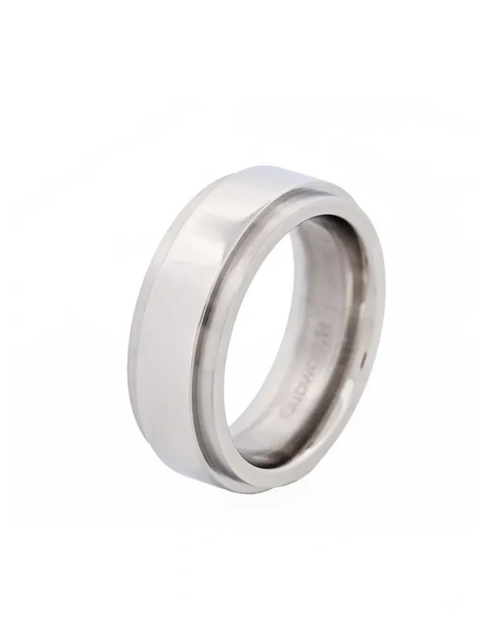 Cudworth Polished Stainless Steel With Raised Centre Band Ring in Silver
