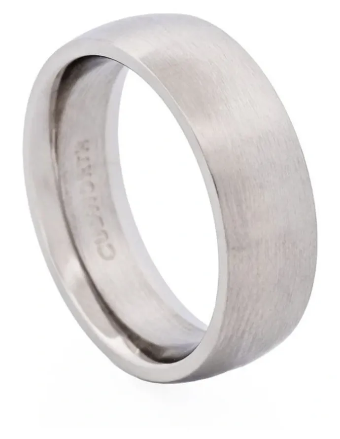 Cudworth Thin Brushed Stainless Steel Band Ring in Silver