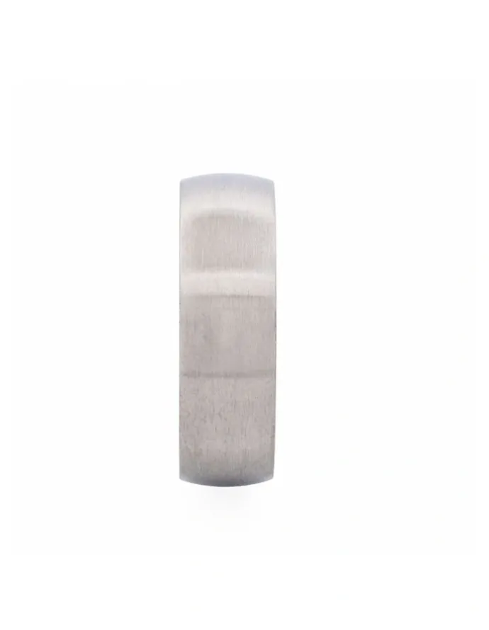 Cudworth Thin Brushed Stainless Steel Band Ring in Silver