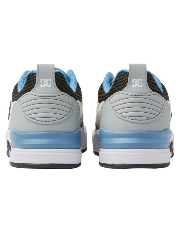 DC Ascend Shoes in White