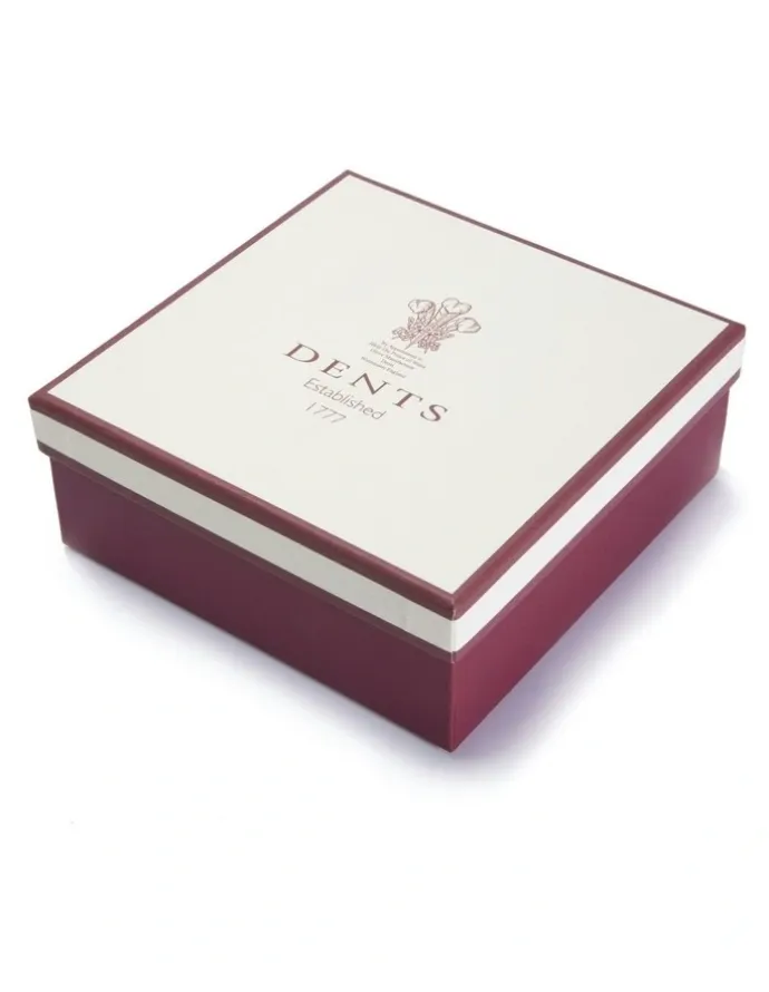 Dents Lined Leather Sleek Belt with Gift Box in Brown