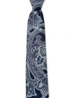 Dom Bagnato Paisley Grande Silk Tie In Azure