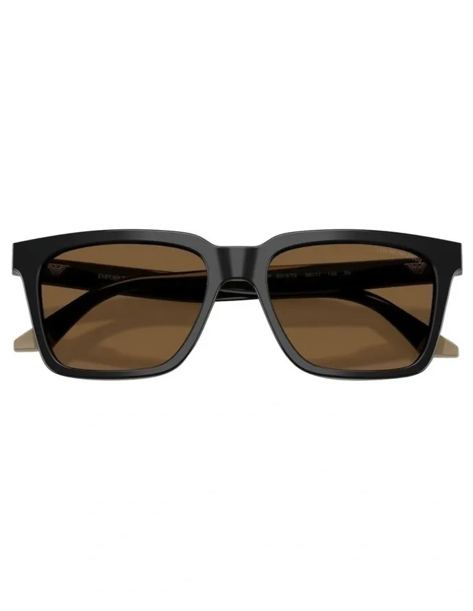 Emporio Armani Acetate Sunglasses in Black
