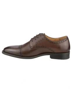 Florsheim Chadwick Cap Toe Derby Shoe in Brown