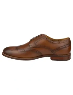Florsheim Rucci Wingtip in Cognac