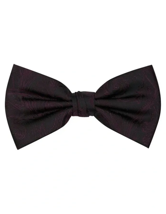 Formalaties Premium Tapestry Bow Tie Floral Paisley in Wine