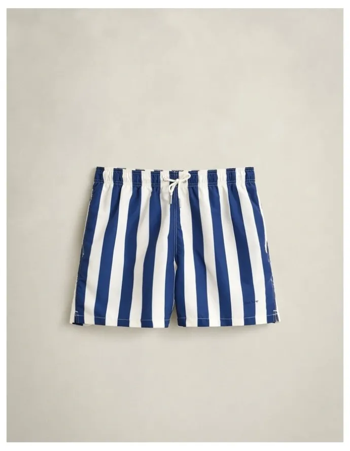 Gant Block Striped Swim Shorts in Rich Navy