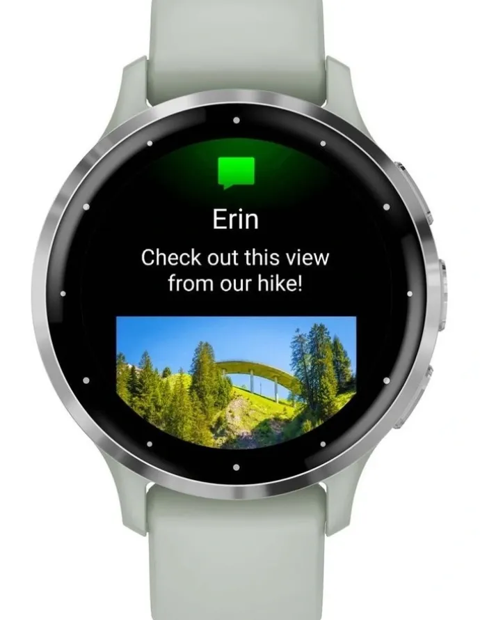 Garmin Venu 3S Smartwatch in Sage Gray/Passivated