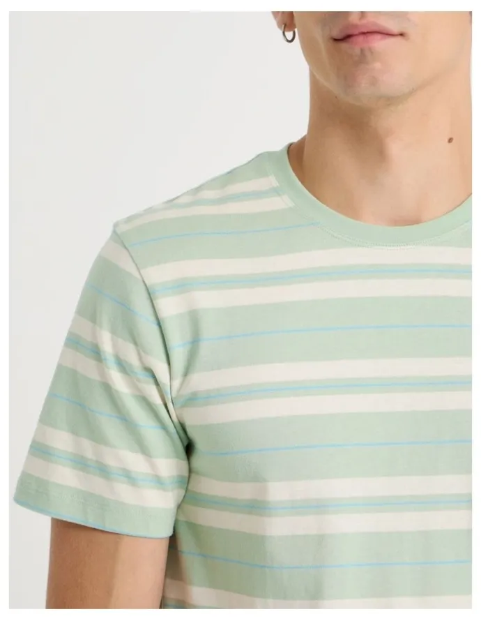 Grab Crew Neck Stripe T-Shirt in Sage