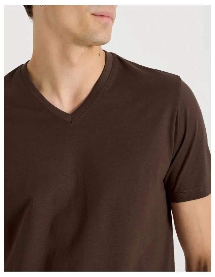 Grab V-Neck T-Shirt in Brown