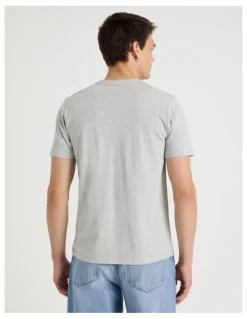 Grab V-Neck T-Shirt in Grey