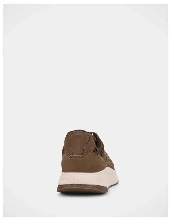 Hush Puppies Keegan Sneakers in Taupe