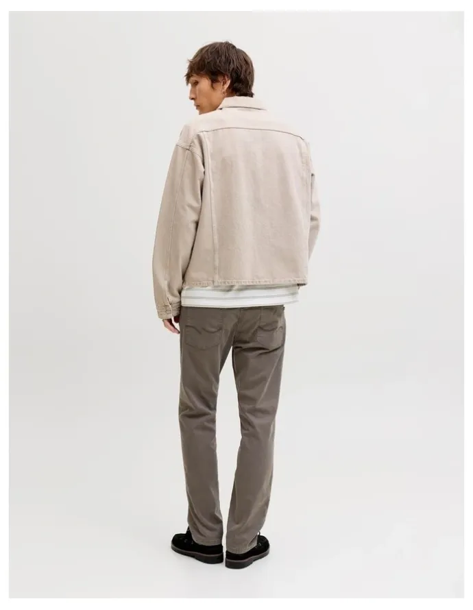 Jack & Jones Clark Finn Pants in Grey
