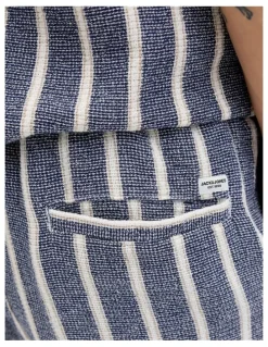 Jack & Jones JPSTJAIDEN COBA Stripe Jog Shorts in Ocean Cavern