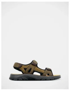 JM Thirty 3 Brookes Shoes in Taupe