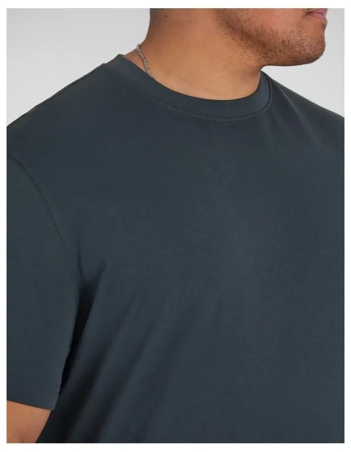 Johnny Bigg Classic Heavyweight Tee in Peacock