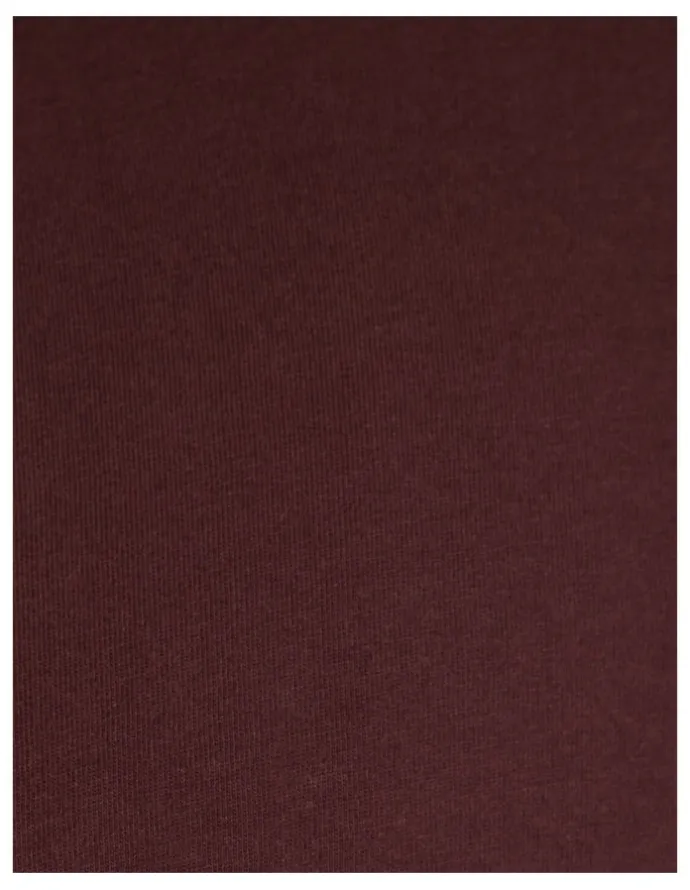 Johnny Bigg Essential V Neck Tee in Burgundy