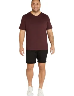 Johnny Bigg Essential V Neck Tee in Burgundy