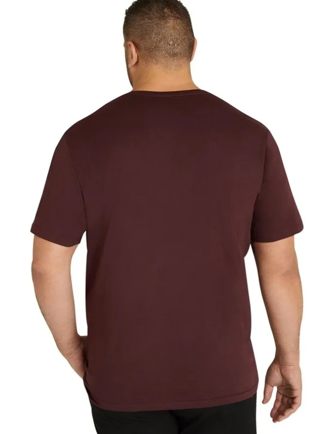 Johnny Bigg Essential V Neck Tee in Burgundy