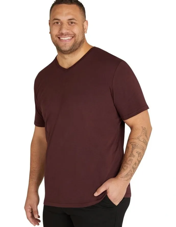 Johnny Bigg Essential V Neck Tee in Burgundy