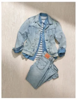 Levi's Barstow Standard Fit Western Shirt in Esta Noche