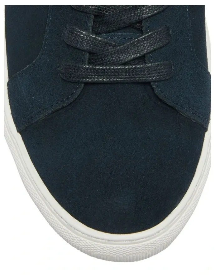Marcs Varsity Suede Sneakers in Navy