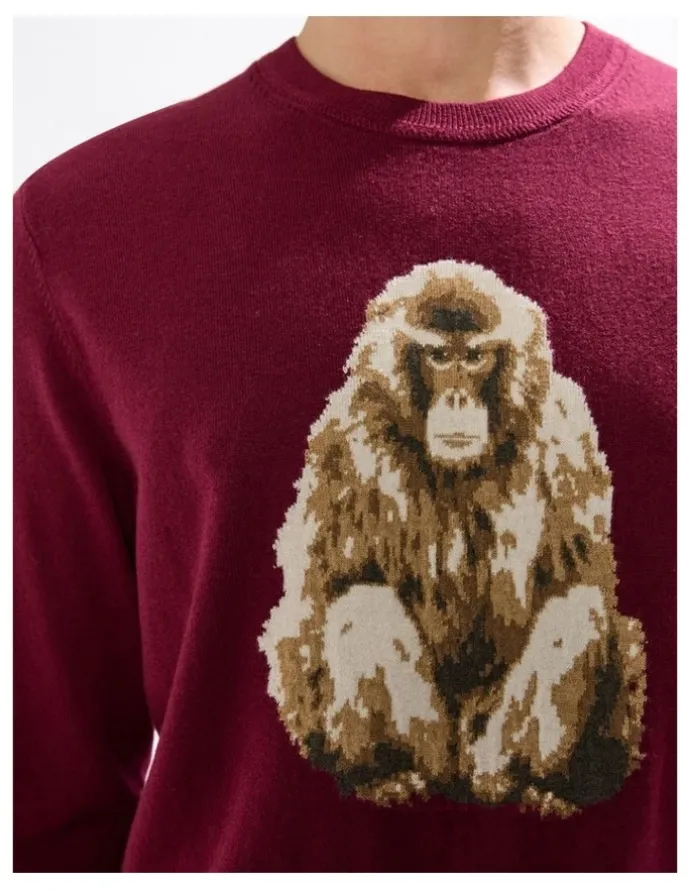Marcs Saru Wool Blend Knit in Fig