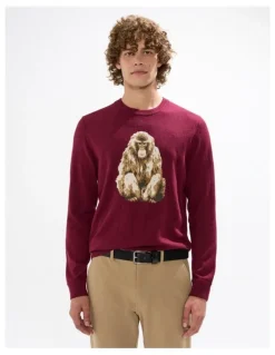 Marcs Saru Wool Blend Knit in Fig