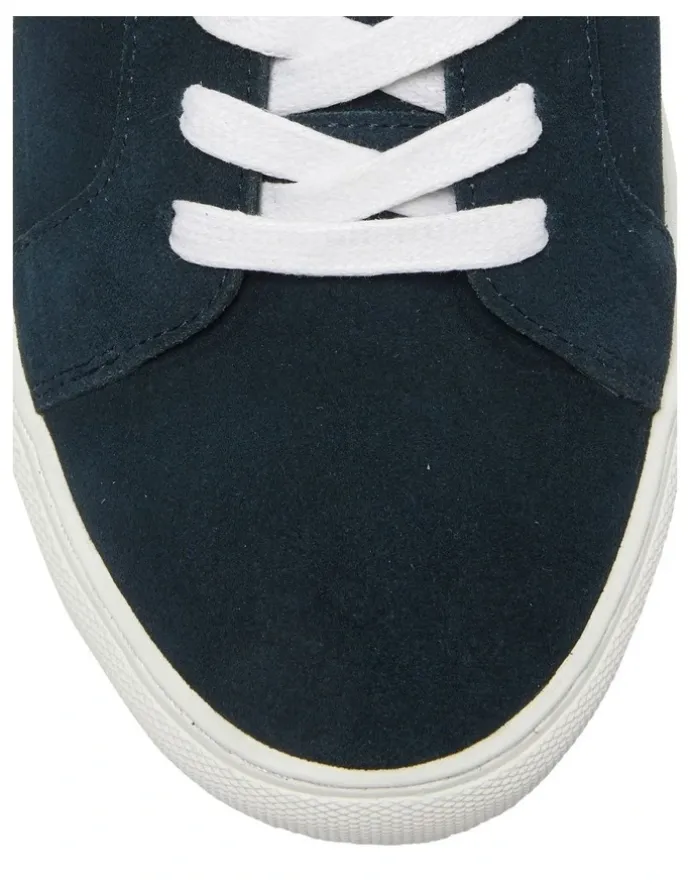 Marcs Varsity Sneakers in Navy/White
