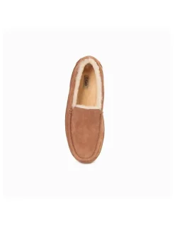 Ozwear Ugg Denver Water Resistant Moccassin in Chestnut