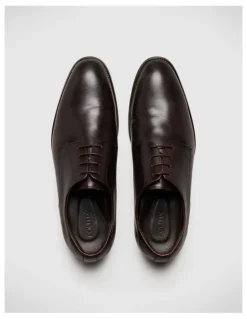 Politix Lace Up Derby Shoes in Brown