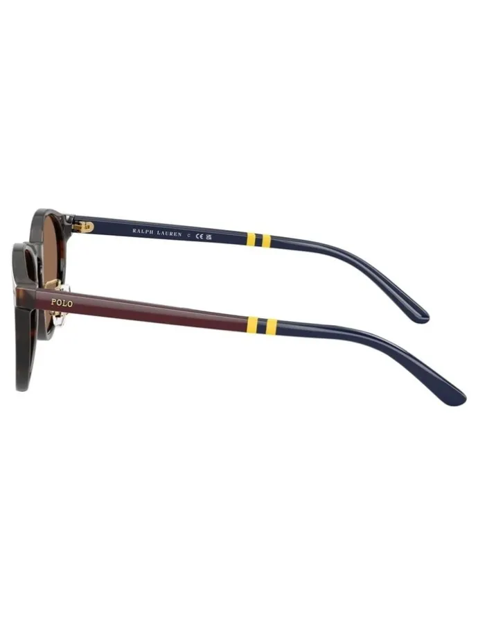 Polo Ralph Lauren Acetate Sunglasses in Tortoise