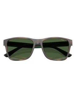 Polo Ralph Lauren Injected Sunglasses in Tortoise