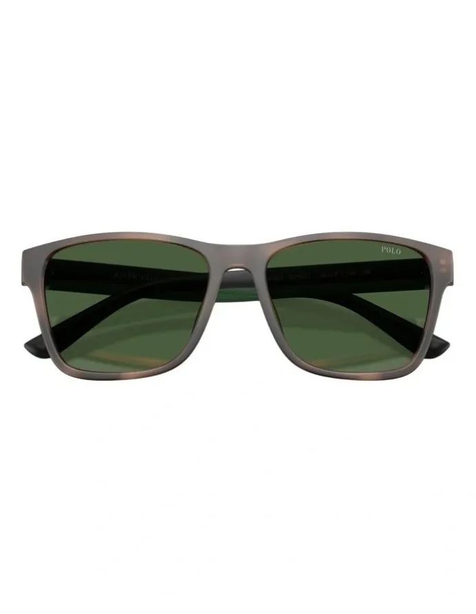 Polo Ralph Lauren Injected Sunglasses in Tortoise