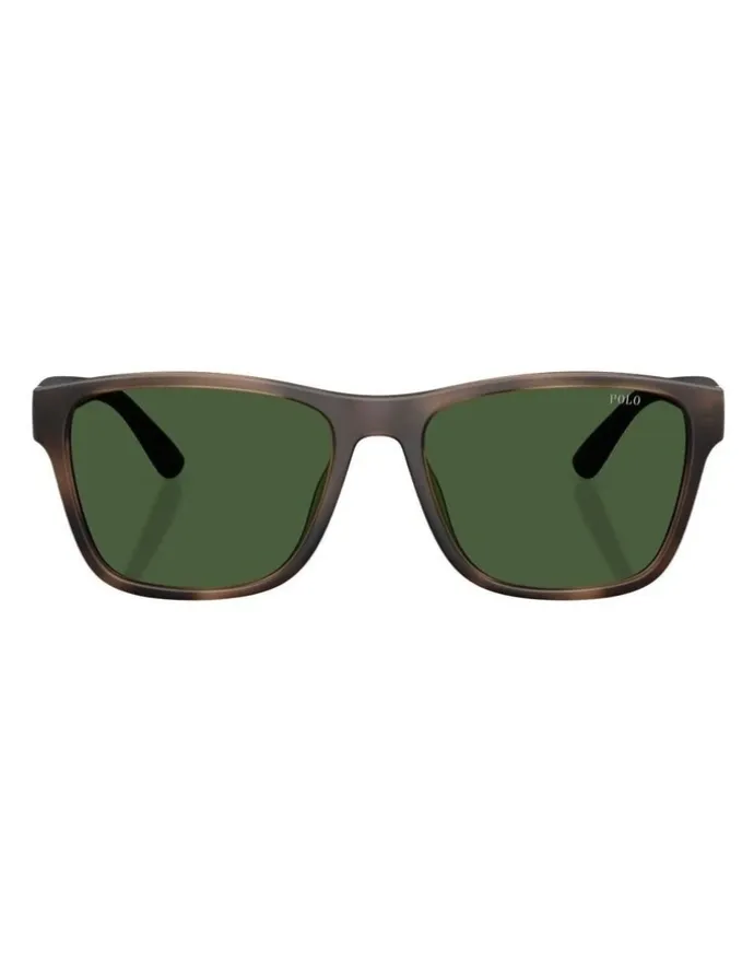 Polo Ralph Lauren Injected Sunglasses in Tortoise