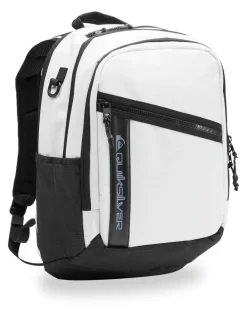 QUIKSILVER Dreeday Backpack 28L in Silver Birch