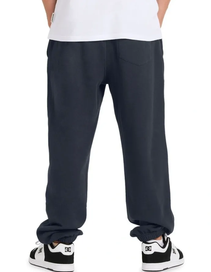 Quiksilver Graphic Track Pants in Blue